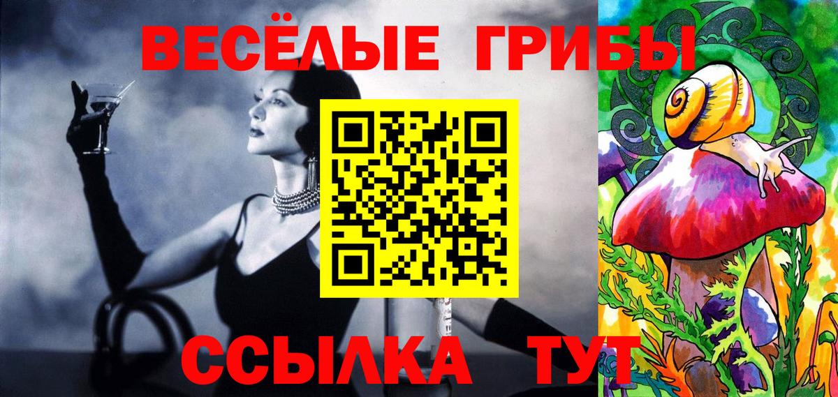 Псилоцибиновые грибы Psilocybe  Галлюциногенные грибы GOLDEN TEACHER  Якутск  купить  цена  Вход с VPN 