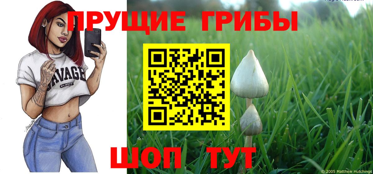 Галлюциногенные грибы ЛСД Якутск