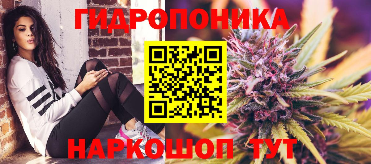 Бошки марихуана планчик  Шишки марихуана Amnesia  Якутск  Вход с VPN 